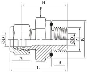 Male Connector Sae Ms Straight Thread Boss Drawing
